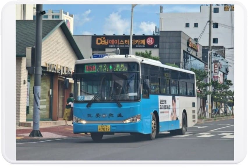 제주도-시내버스