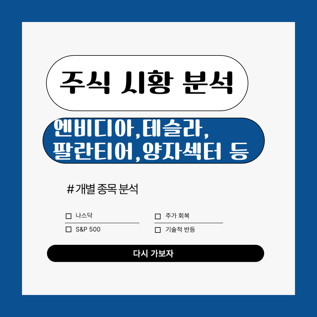 미국 주식 시장 시황 분석(테슬라, 엔비디아, 팔란티어, 아이온큐)