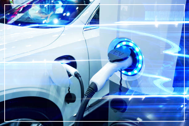 전기차 무상점검