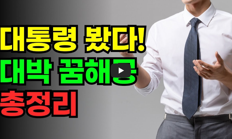 대통령 꿈해몽 영상보기