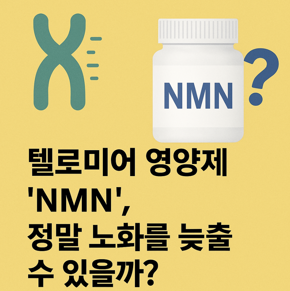 텔로미어 영양제 'NMN', 정말 노화를 늦출 수 있을까?