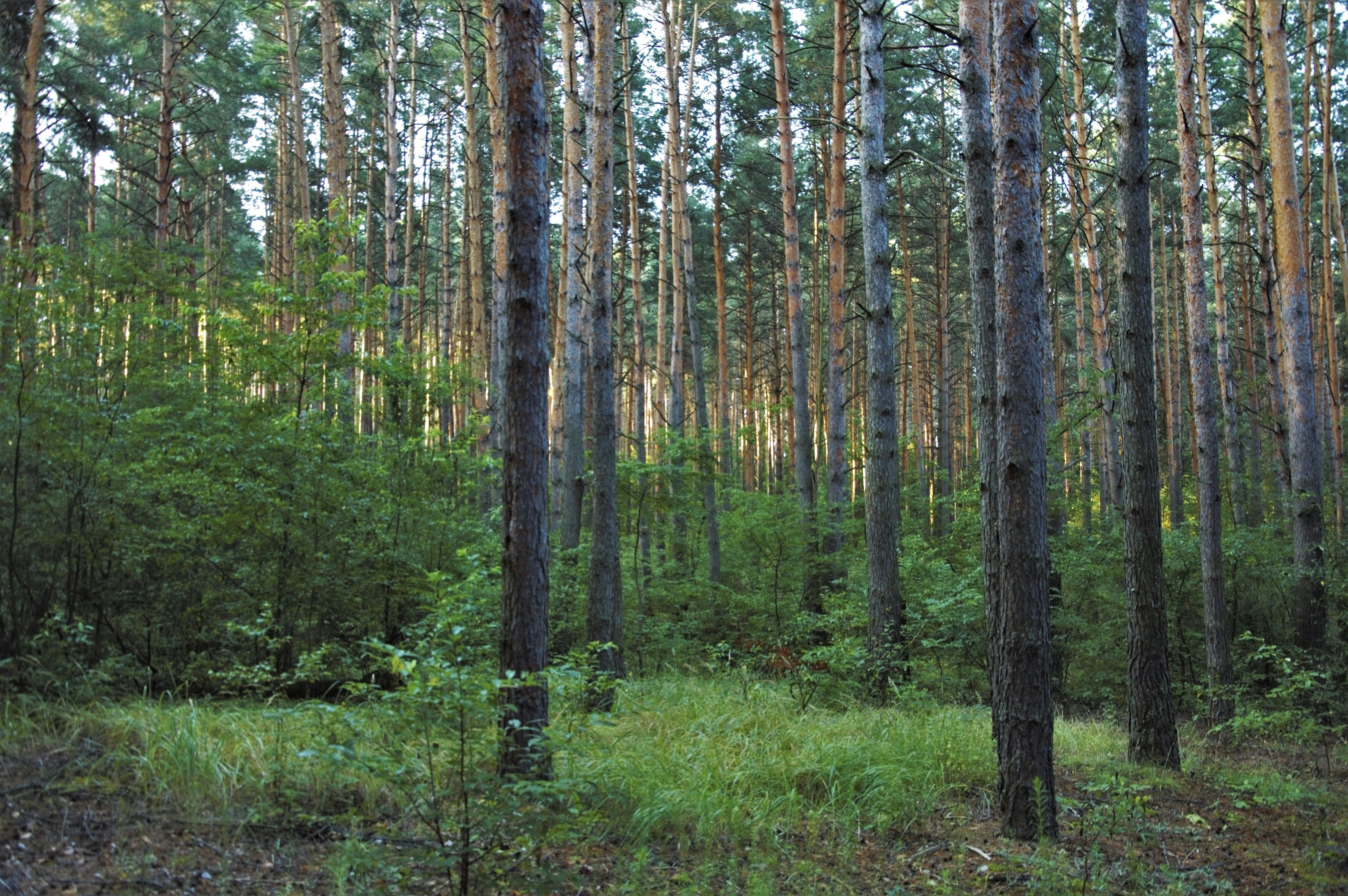 2025년 8월 14일 띠별 운세 - 내일의 길흉과 조언 (쥐띠&amp;#44; 소띠&amp;#44; 범띠&amp;#44; 토끼띠)