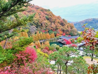 화담숲예약하기