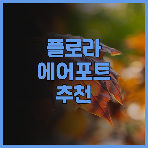 플로라 에어포트 호텔 추천 이유 공항
