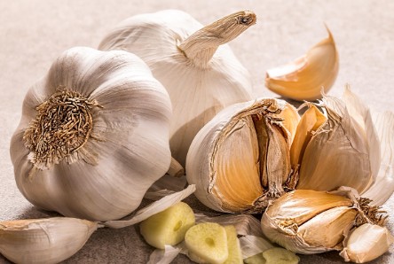 신장에 좋은 음식-마늘