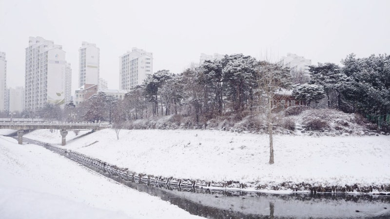 부천 반려견 겨울 나들이 명소, 강아지와 함께 걷기 좋은 산책 코스