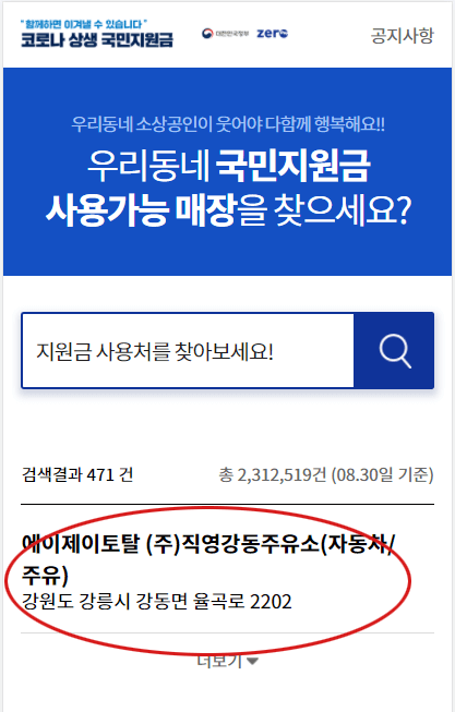 재난지원금_사용처_결과