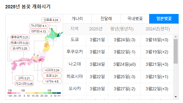 일본 오사카 벚꽃 개화 시기