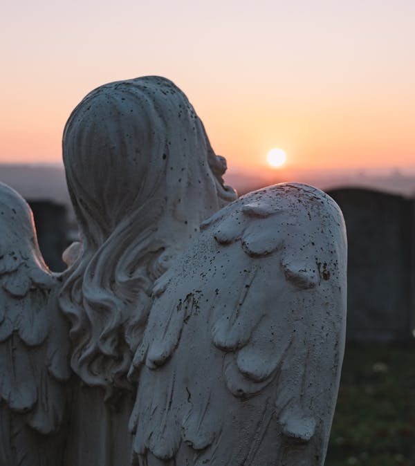 배우 김수미 별세 원인 소식 보러가기