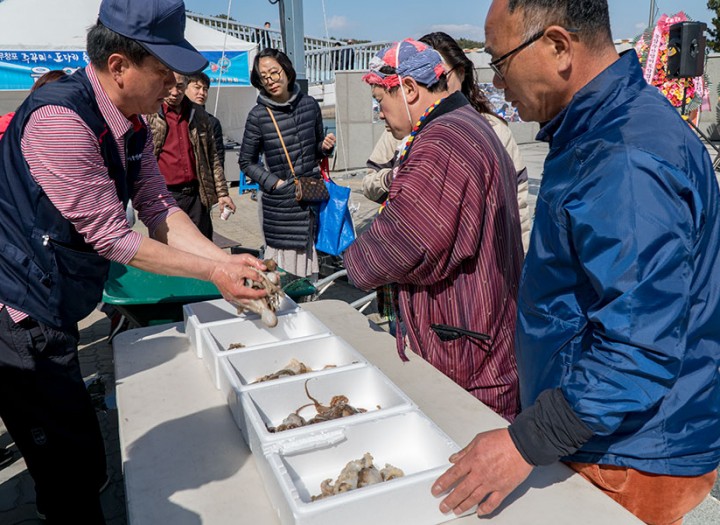 무창포 축제장에서 신선한 쭈꾸미를 판매하는 모습