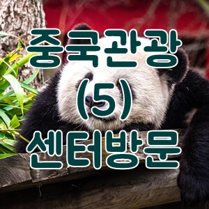중국비자-서비스센터-방문