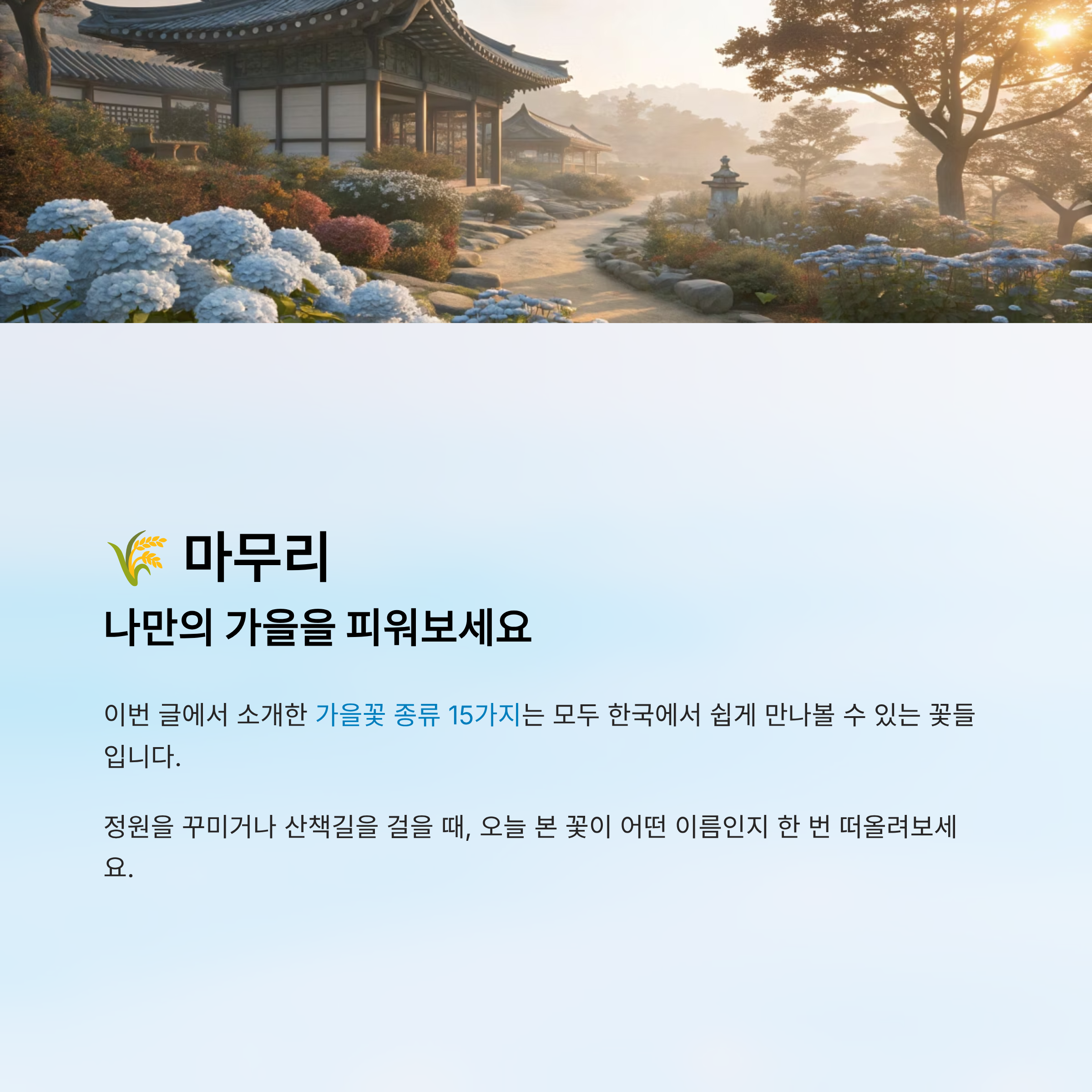 가을꽃 종류 알아보기