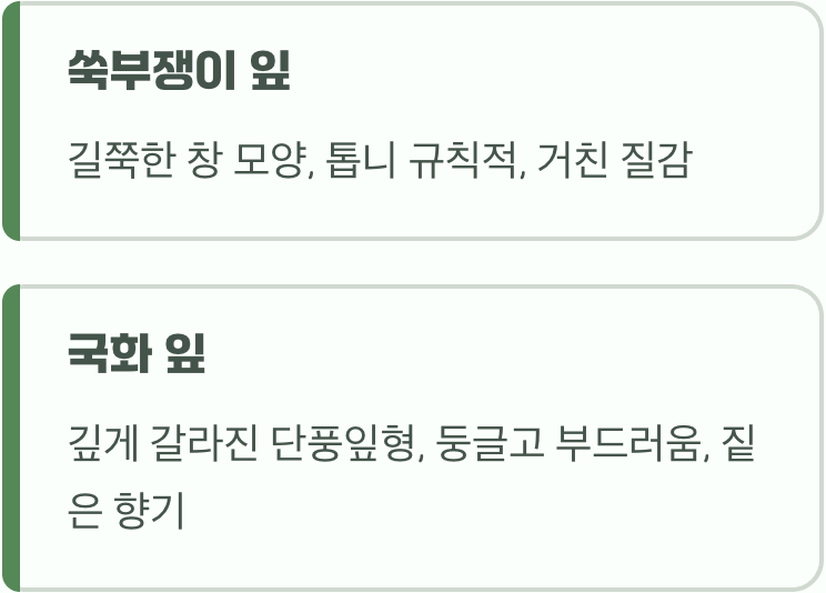가장 확실한 신분증, 잎사귀