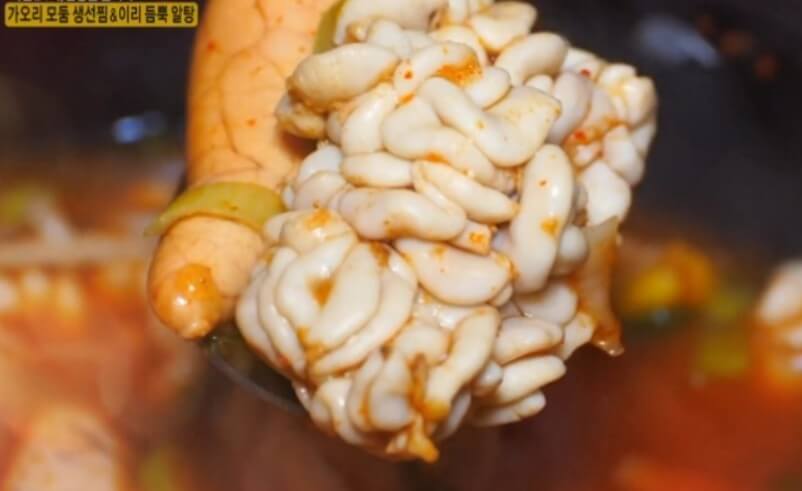 오늘N식규멘터리 바다향