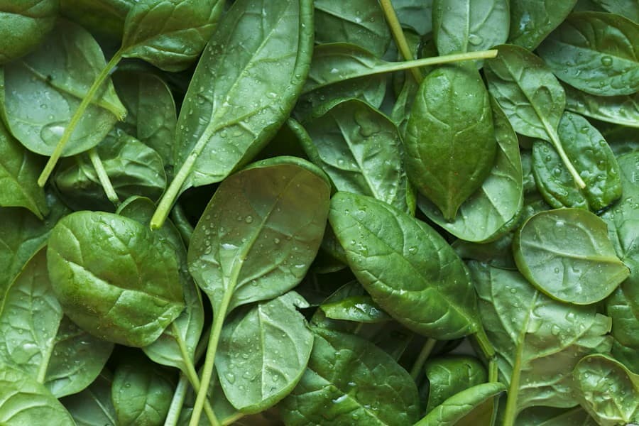 "채소가 탄수화물로 가득? 건강한 식단을 위한 모든 것“