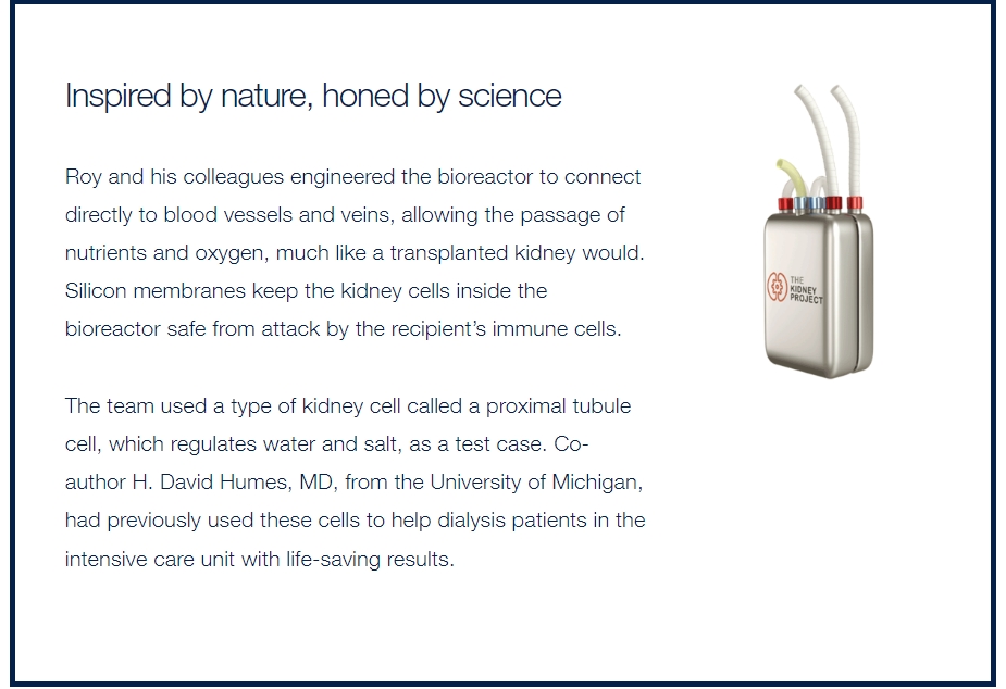 재생 불능 '신장'...인공 신장이 투석으로부터 해방시킬 수 있을까? Can an Artificial Kidney Finally Free Patients from Dialysis?
