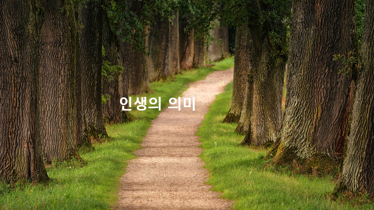 숲속길