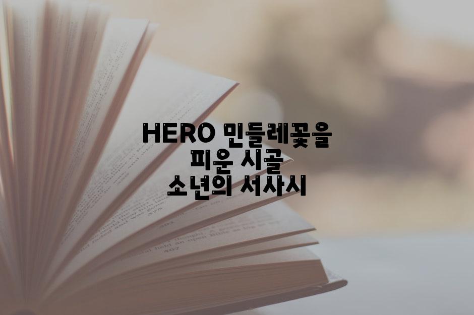 HERO 민들레꽃을 피운 시골 소년의 서사시