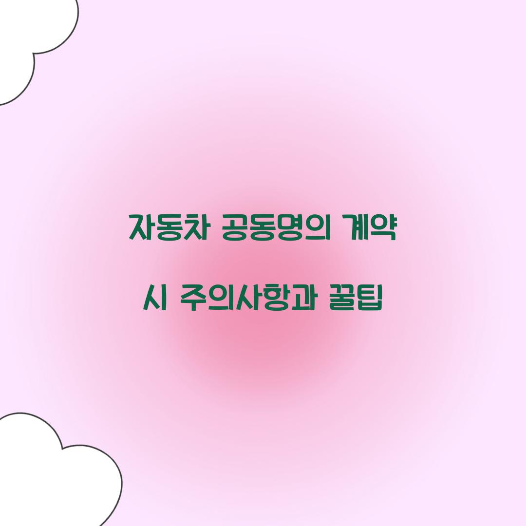 자동차 공동명의