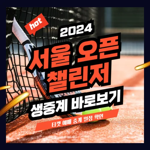 서울 오픈 테니스 중계