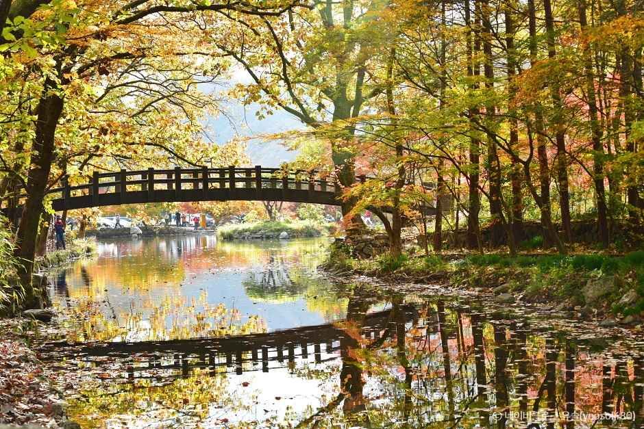 장성 가볼만한곳 베스트10