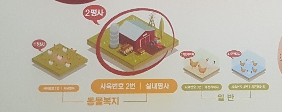 달걀사육환경