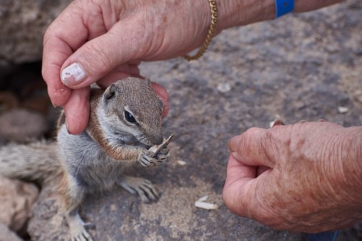 내가 방해받지 않도록 타인을 길들이자.