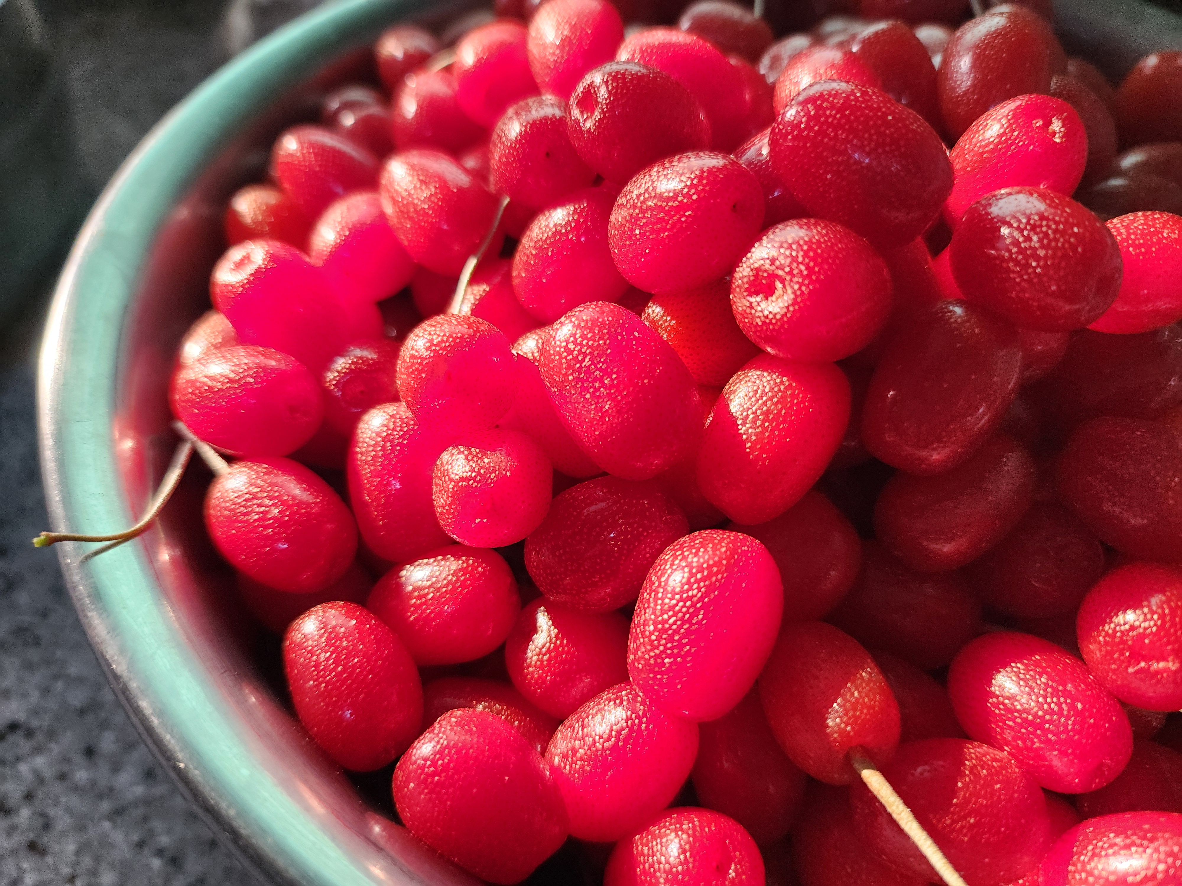 보리수 - 열매, 수확 시기, 효능, 부작용, 먹는 법, 불교와의 관계, 재배 방법
