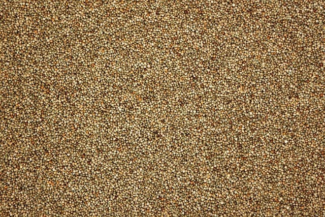 황해도의 밭작물 찜, 조밥을 활용한 이색적인 건강식