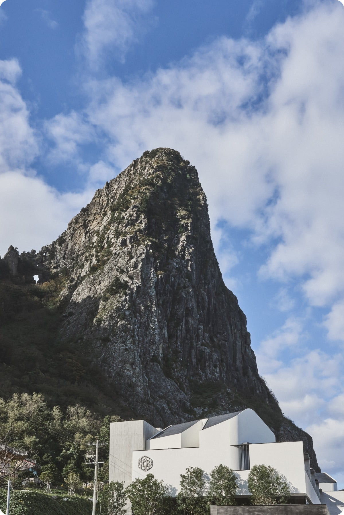 코스모스울릉도숙소사진