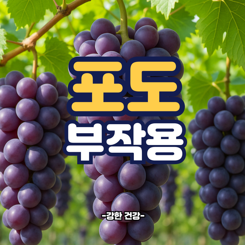 포도 부작용
