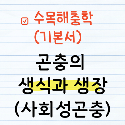 사회성 곤충