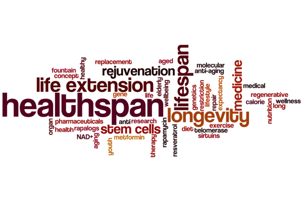 타이포그래피 의미와 디자인