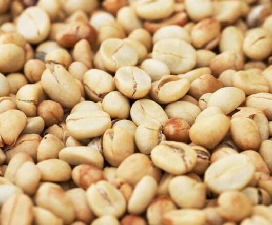 야우코 셀렉토 커피