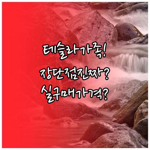 가족과 함께 타는 테슬라 모델YL 장..