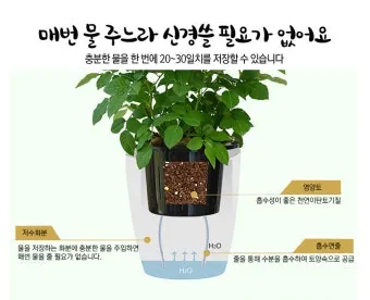 자동급수 화분 선택 물탱크관리 여행중건조 예방 쉬운 사용법_31