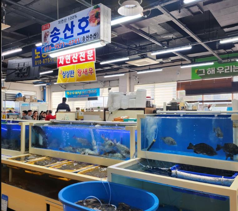 6시내고향 화성 농어회 물회 매장