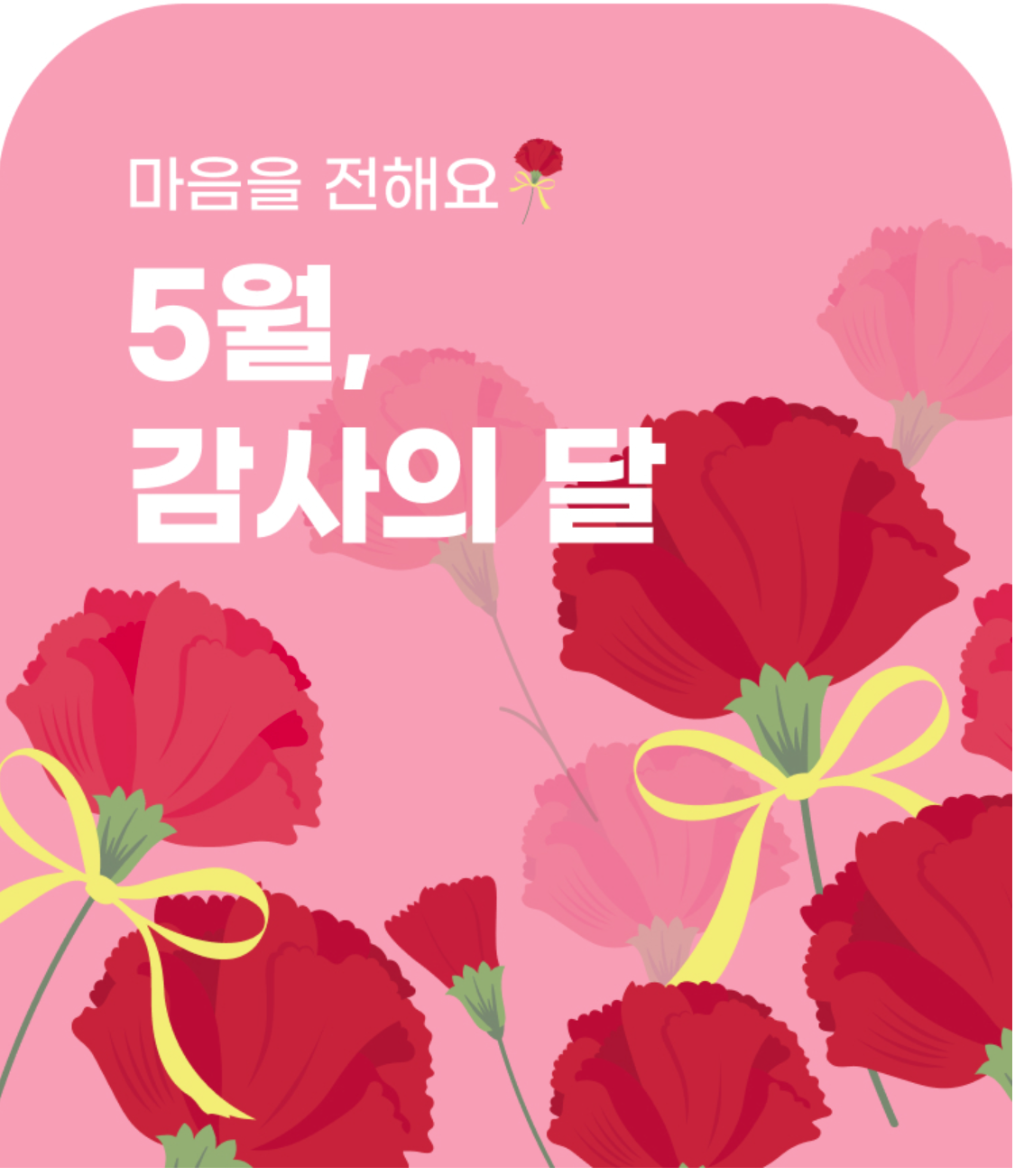 🏙️ 세종특별자치시 다이소 매장 정보