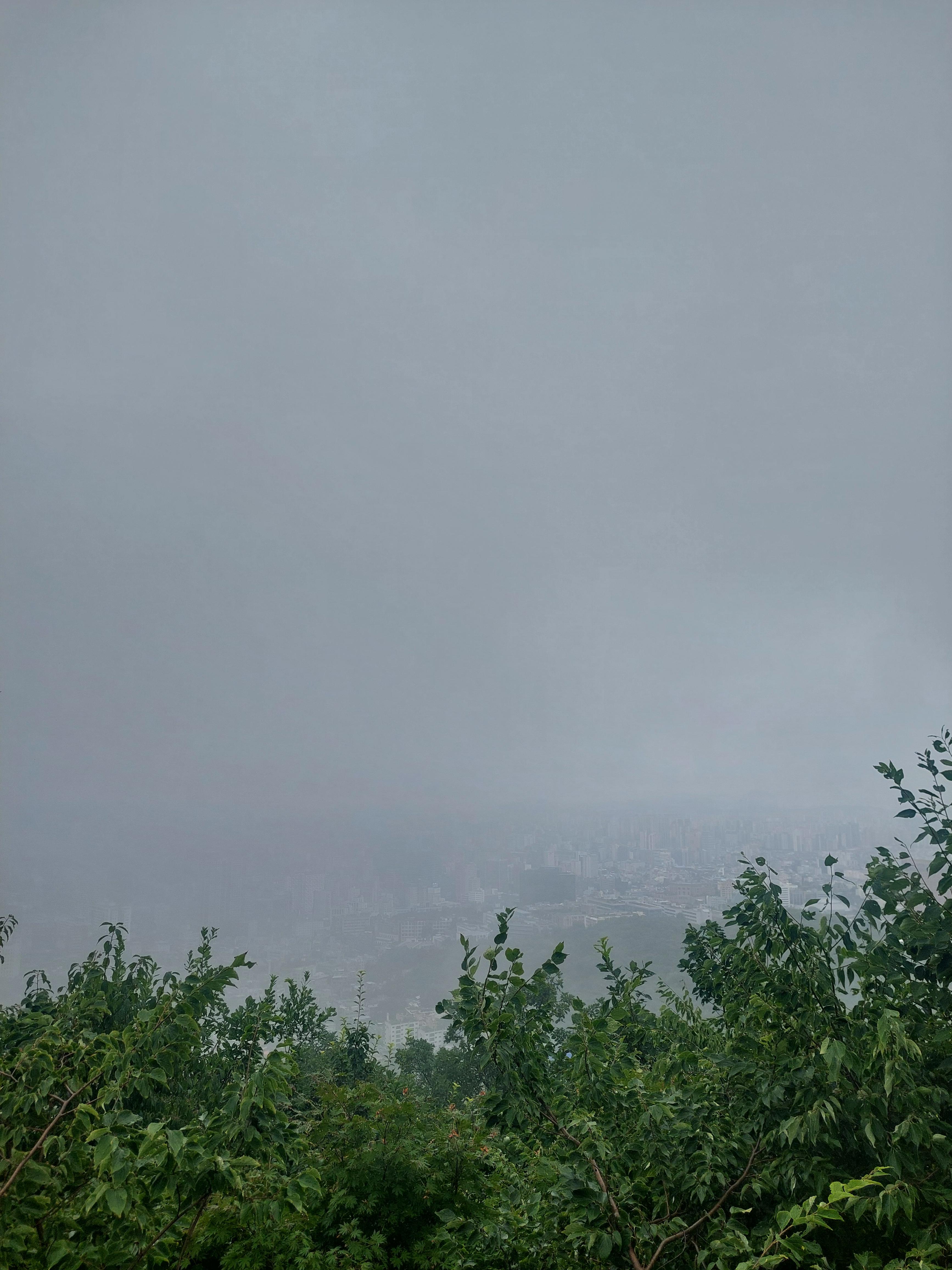 남산매봉산