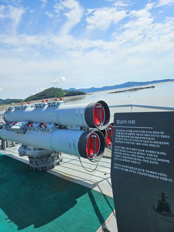 함정 청상어 어뢰