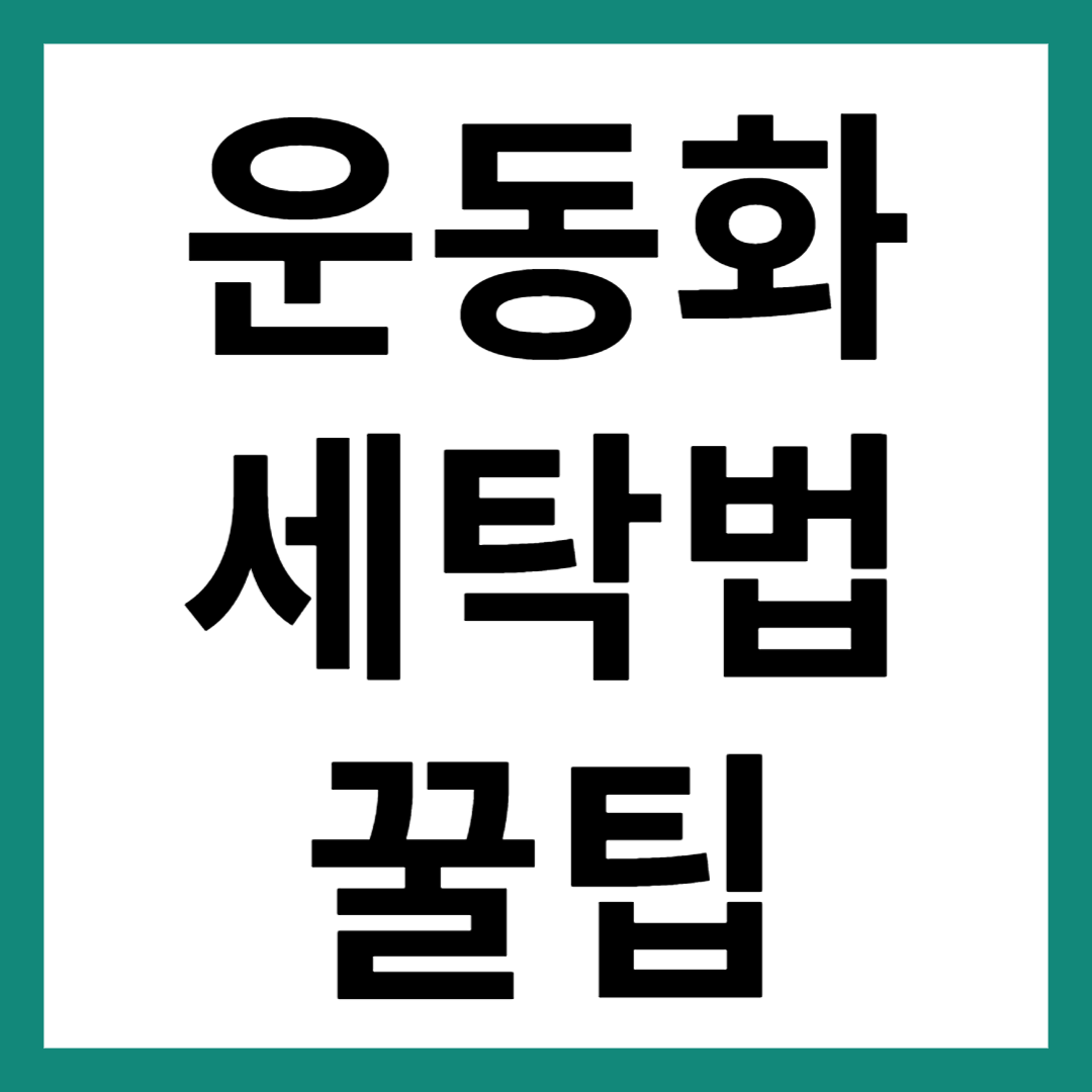운동화 세탁법