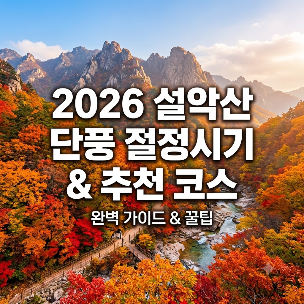 설악산 단풍 절정시기