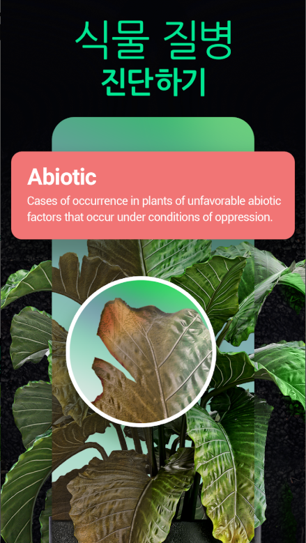식물이름 찾기 앱, 식물검색