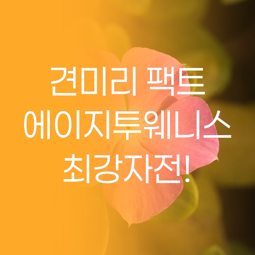 견미리 팩트 vs 에이지투웨니스 당신