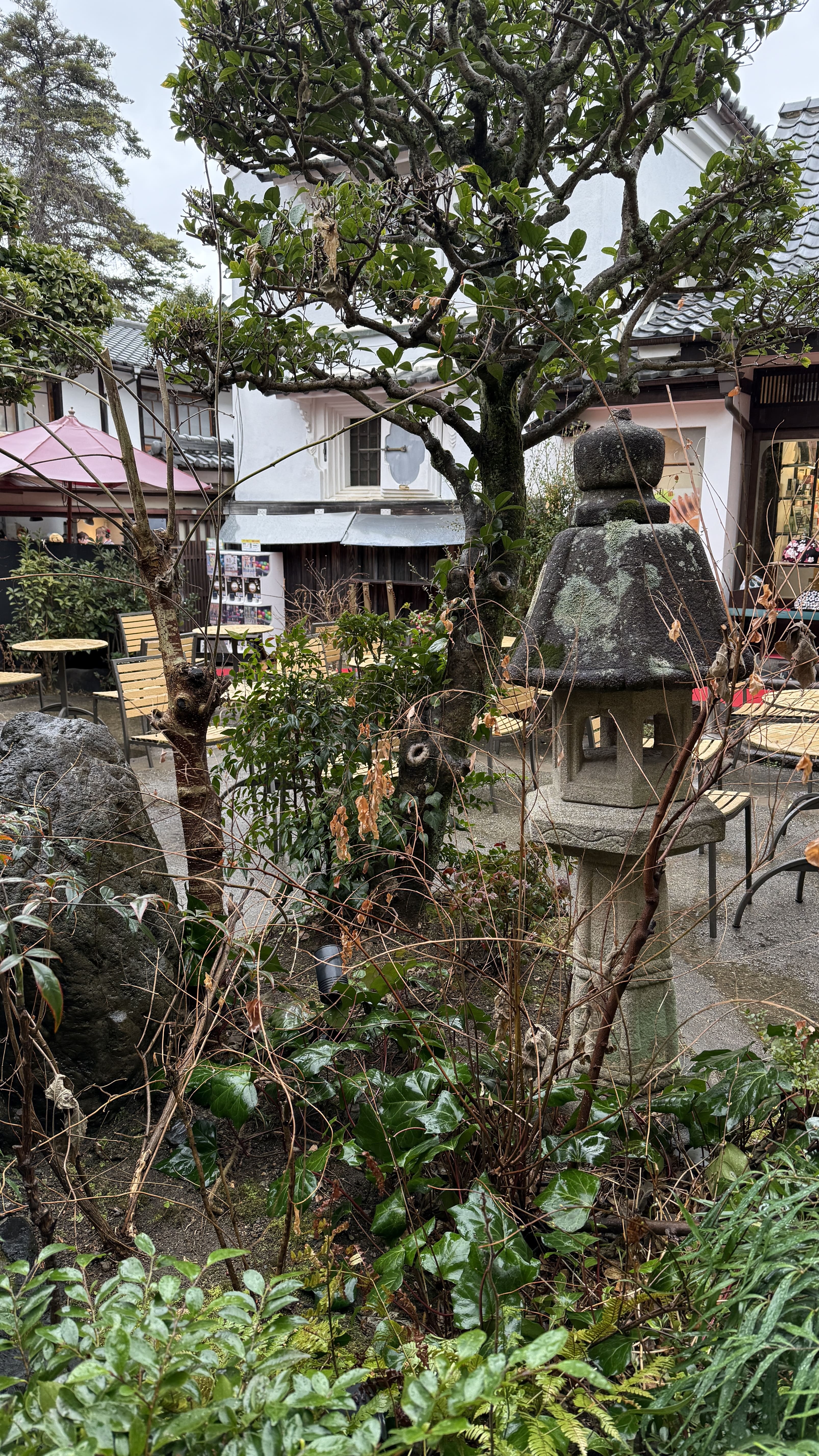 교토 카페 말차 하우스