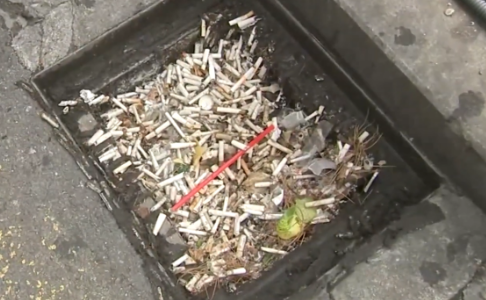 딤배꽁초-무단투기