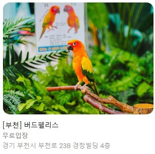 경기투어패스(가평,양평,부천)