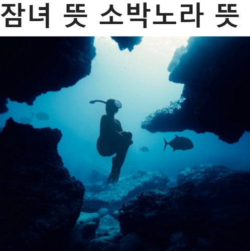 잠녀 뜻 소박노라 뜻 잠녀 숨병