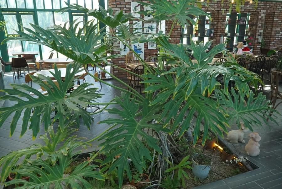 산림산업기사 응시자격