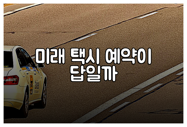 미래 택시 예약이 답일까
